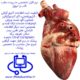 نرم افزار مدیریت مطب قلب و عروق